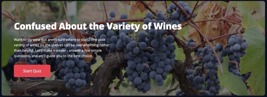 NextWine quiz hero over a vineyard photo reading 'Confused About the Variety of Wines' with a Start Quiz button.